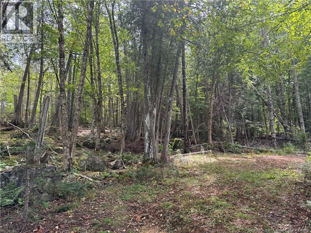 194 Upper Waweig Road, Waweig, New Brunswick  E3L 4N1 - Photo 2 - NB125317