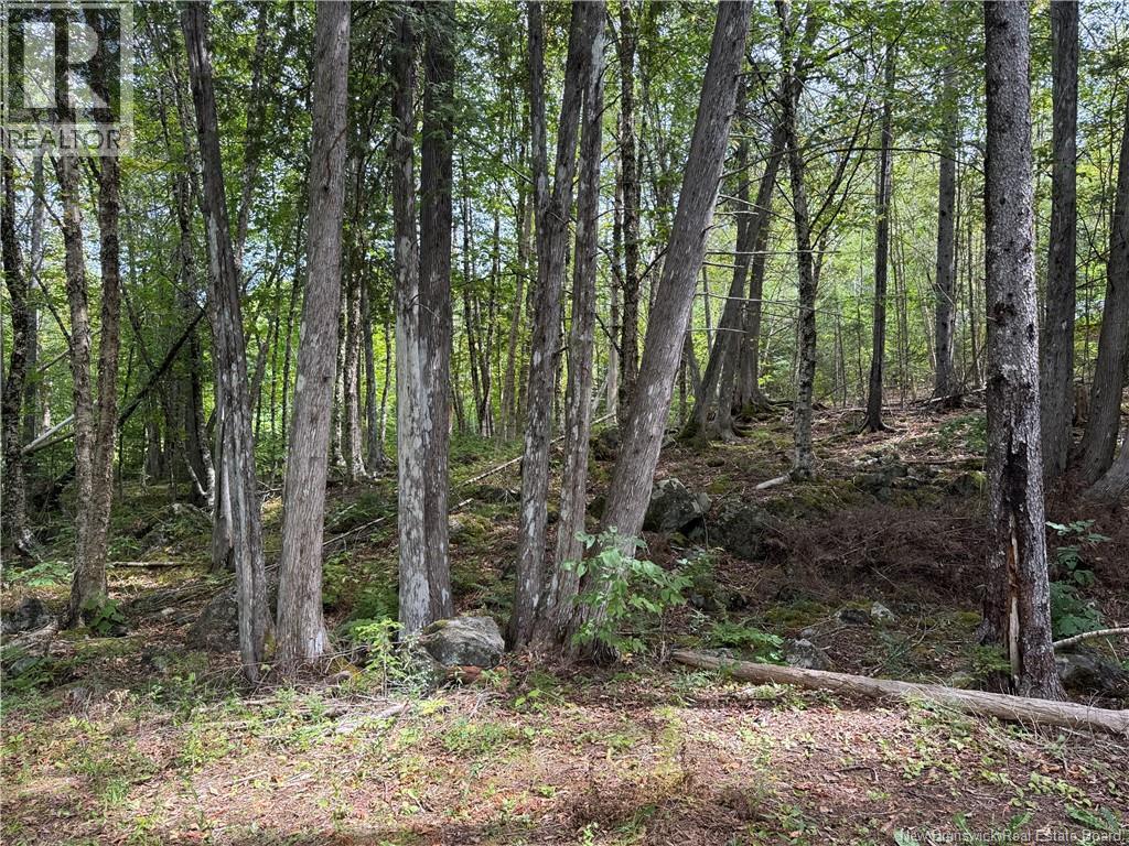 194 Upper Waweig Road, Waweig, New Brunswick  E3L 4N1 - Photo 3 - NB125317