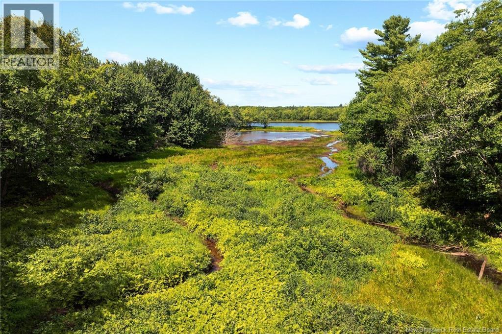Lot 99-3 Wegesegum Road, Chipman, New Brunswick  O0O 0O0 - Photo 5 - NB124986