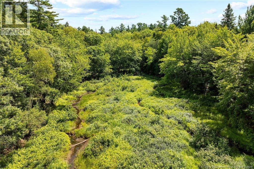 Lot 99-3 Wegesegum Road, Chipman, New Brunswick  O0O 0O0 - Photo 8 - NB124986