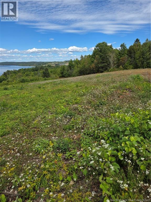 Lot 4 Veysey Road, Lower Kingsclear, New Brunswick  E3E 1L9 - Photo 8 - NB125341