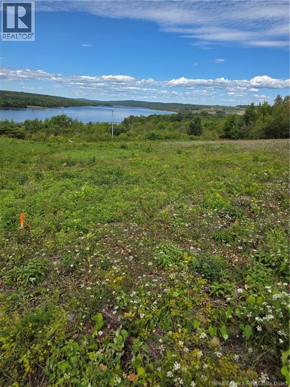 Lot 4 Veysey Road, Lower Kingsclear, New Brunswick  E3E 1L9 - Photo 9 - NB125341