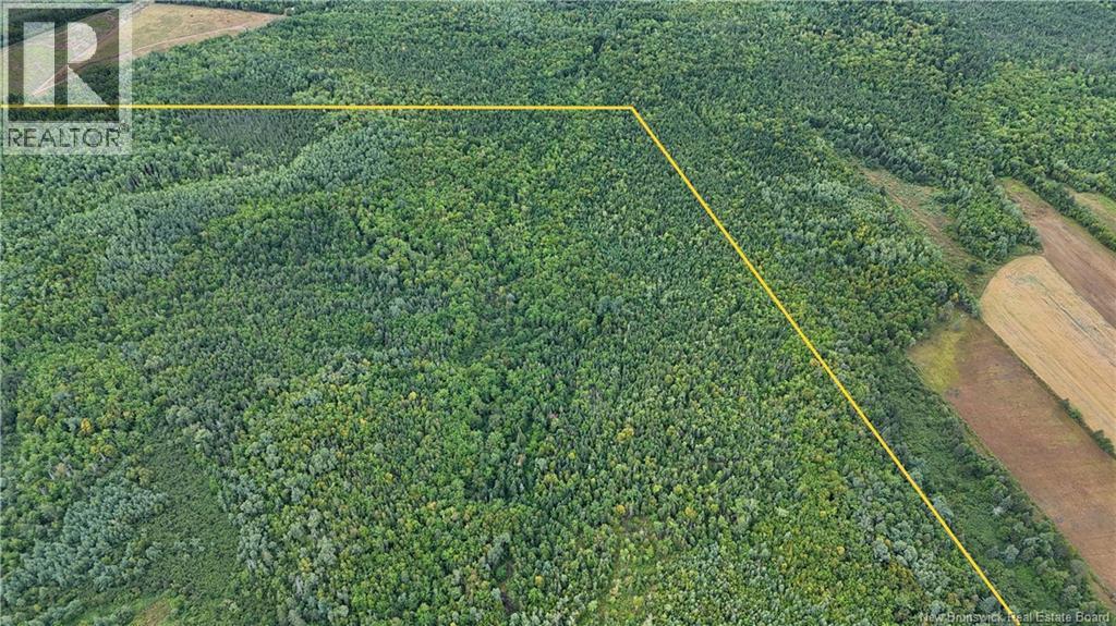 40.04 Hec Route 355, Sainte Rose, New Brunswick  E1X 2X1 - Photo 5 - NB125367