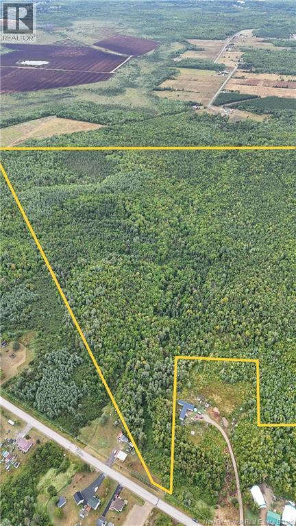 40.04 Hec Route 355, Sainte Rose, New Brunswick  E1X 2X1 - Photo 7 - NB125367