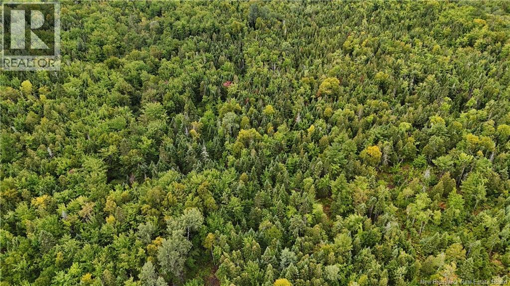 40.04 Hec Route 355, Sainte Rose, New Brunswick  E1X 2X1 - Photo 8 - NB125367