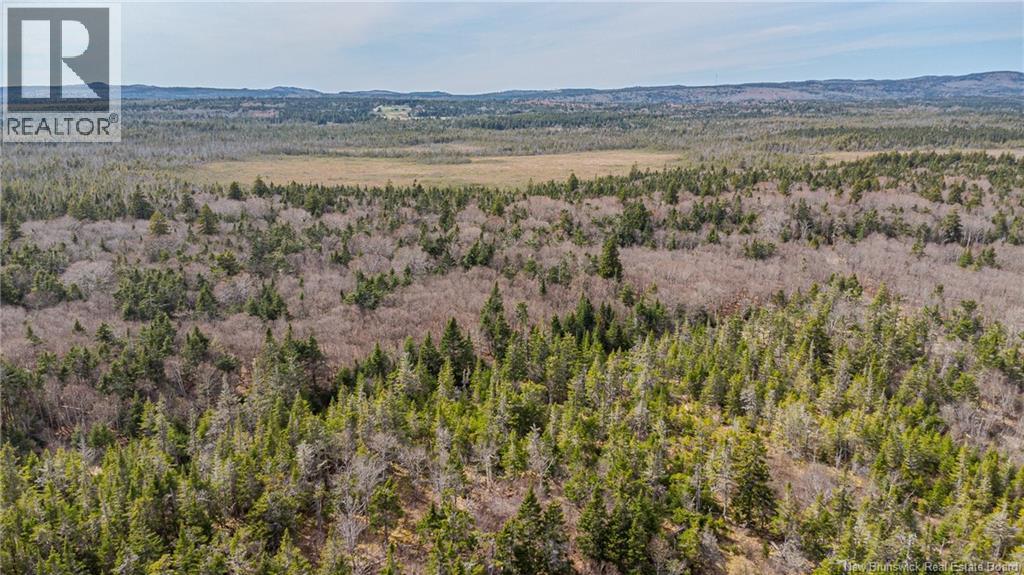 Lot A Old Shore Road, Tynemouth Creek, New Brunswick  E5R 1V8 - Photo 12 - NB125368