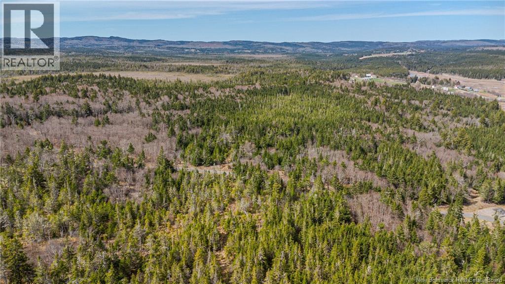 Lot A Old Shore Road, Tynemouth Creek, New Brunswick  E5R 1V8 - Photo 14 - NB125368