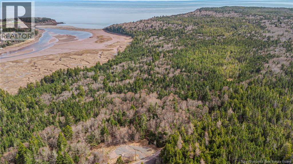 Lot A Old Shore Road, Tynemouth Creek, New Brunswick  E5R 1V8 - Photo 7 - NB125368