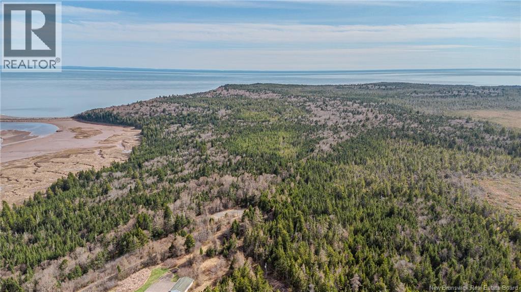 Lot A Old Shore Road, Tynemouth Creek, New Brunswick  E5R 1V8 - Photo 9 - NB125368