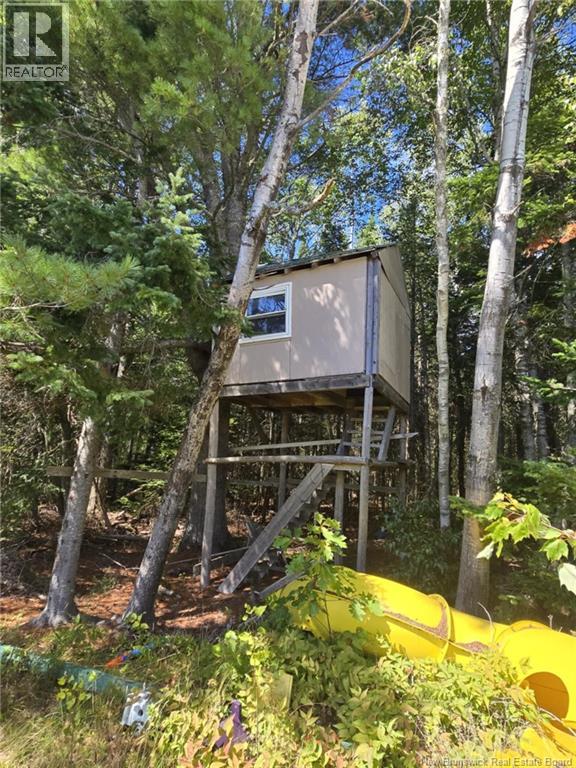 123 Route 695, Jemseg, New Brunswick  E4C 3M7 - Photo 36 - NB125371