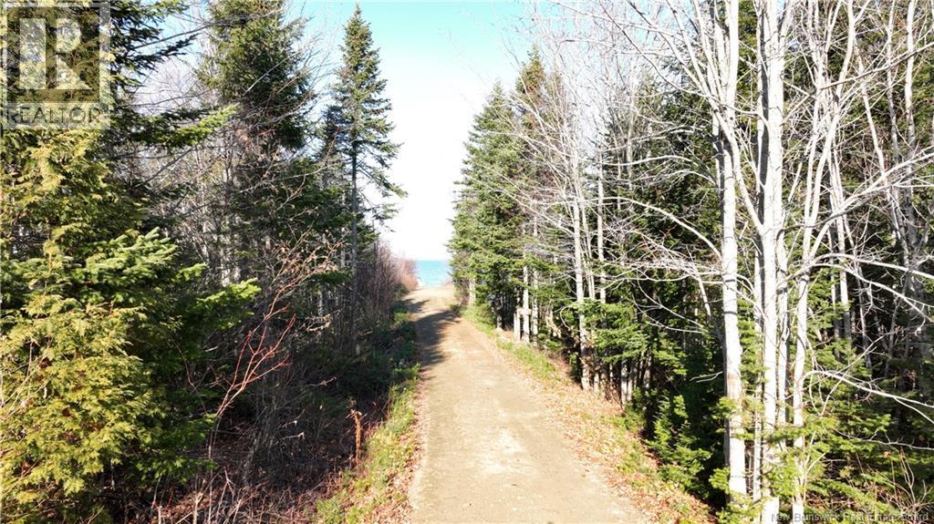 Lot 10-2 Hardwick Road, Hardwicke, New Brunswick  E9A 1L6 - Photo 8 - NB125436