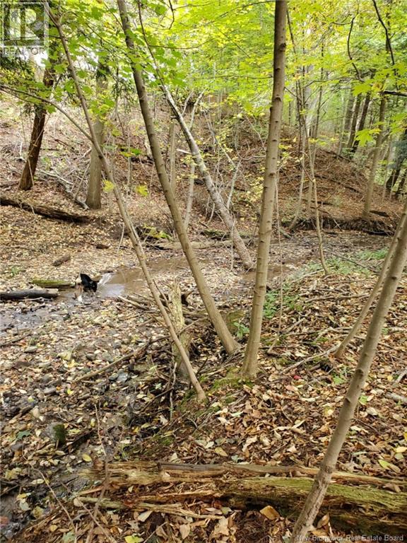 Lot 3 Thompson Road, Kierstead Mountain, New Brunswick  E5P 1X3 - Photo 1 - NB125409