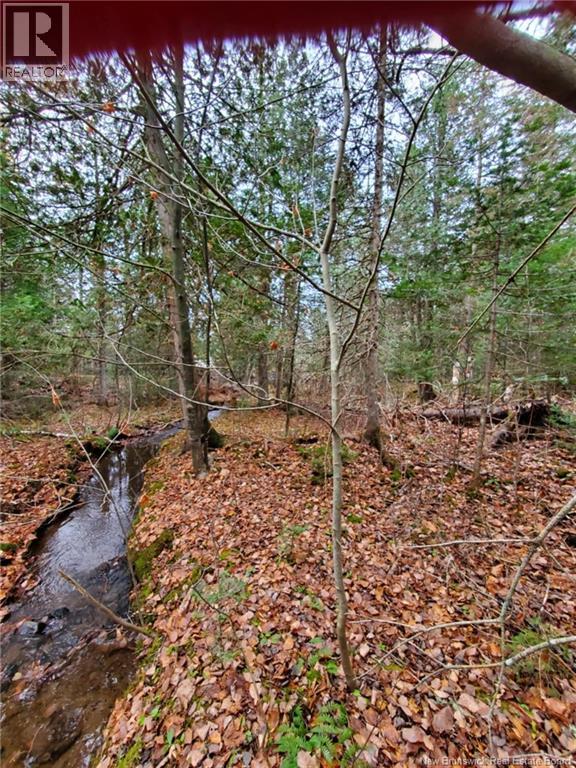Lot 3 Thompson Road, Kierstead Mountain, New Brunswick  E5P 1X3 - Photo 4 - NB125409