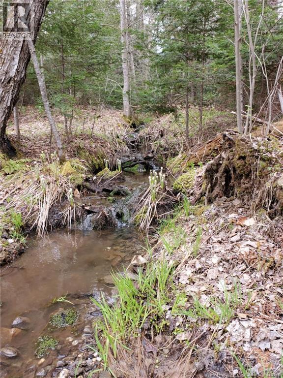 Lot 2 Thompson Road, Kierstead Mountain, New Brunswick  E5P 1X3 - Photo 1 - NB125407