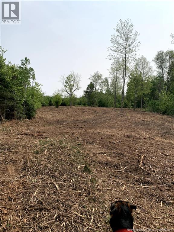 Lot 2 Thompson Road, Kierstead Mountain, New Brunswick  E5P 1X3 - Photo 8 - NB125407