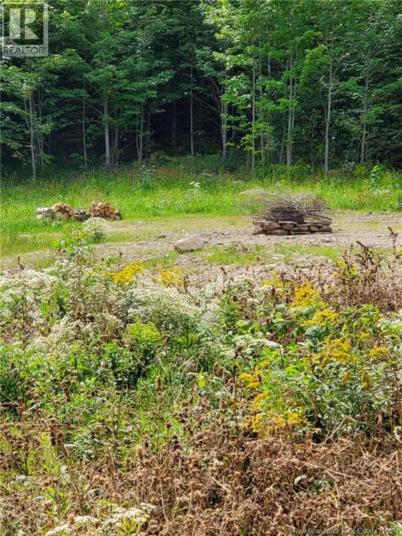 43 Thompson Road, Kierstead Mountain, New Brunswick  E5P 1X3 - Photo 5 - NB125406