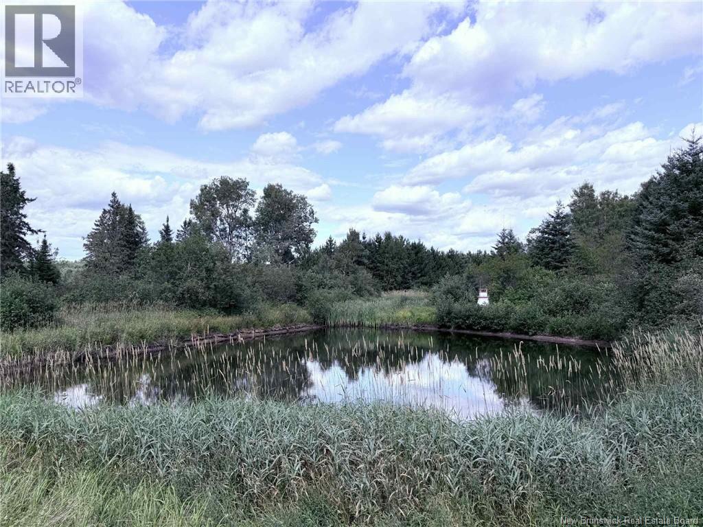11051 Rte 430 Hwy, Trout Brook, New Brunswick  E9E 1R5 - Photo 31 - NB125439