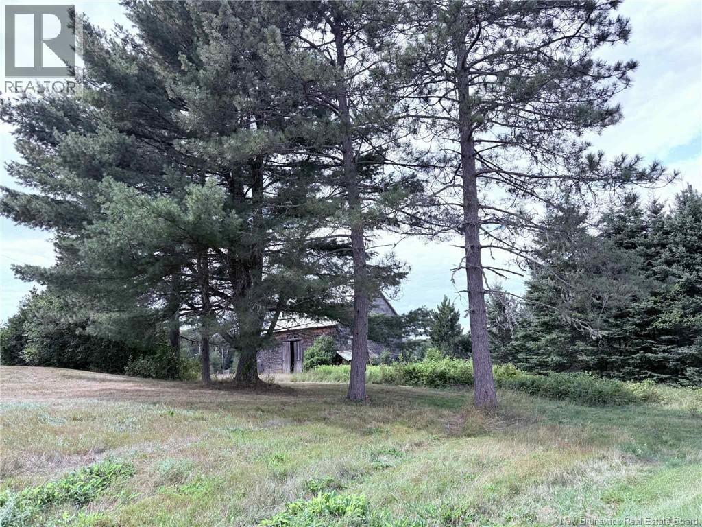 11051 Rte 430 Hwy, Trout Brook, New Brunswick  E9E 1R5 - Photo 33 - NB125439