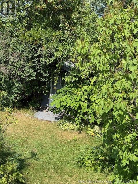 373 Stewart Lane, Dalhousie, New Brunswick  E8C 2L9 - Photo 16 - NB125456