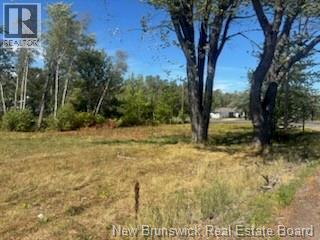 4021 Route 690, Newcastle Creek, New Brunswick  E4B 2K8 - Photo 2 - NB125417