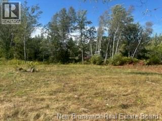 4021 Route 690, Newcastle Creek, New Brunswick  E4B 2K8 - Photo 3 - NB125417