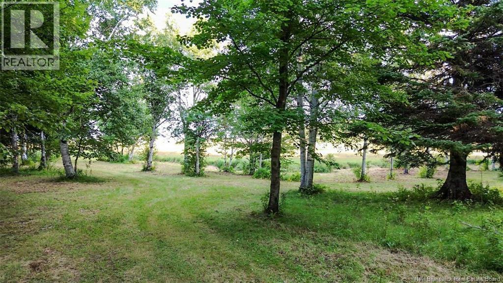 1083 Rue Bryar, Beresford, New Brunswick  E8K 1B3 - Photo 6 - NB125431