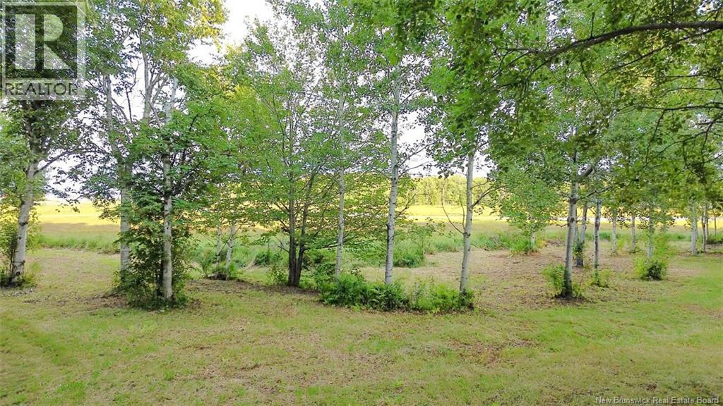 1083 Rue Bryar, Beresford, New Brunswick  E8K 1B3 - Photo 7 - NB125431