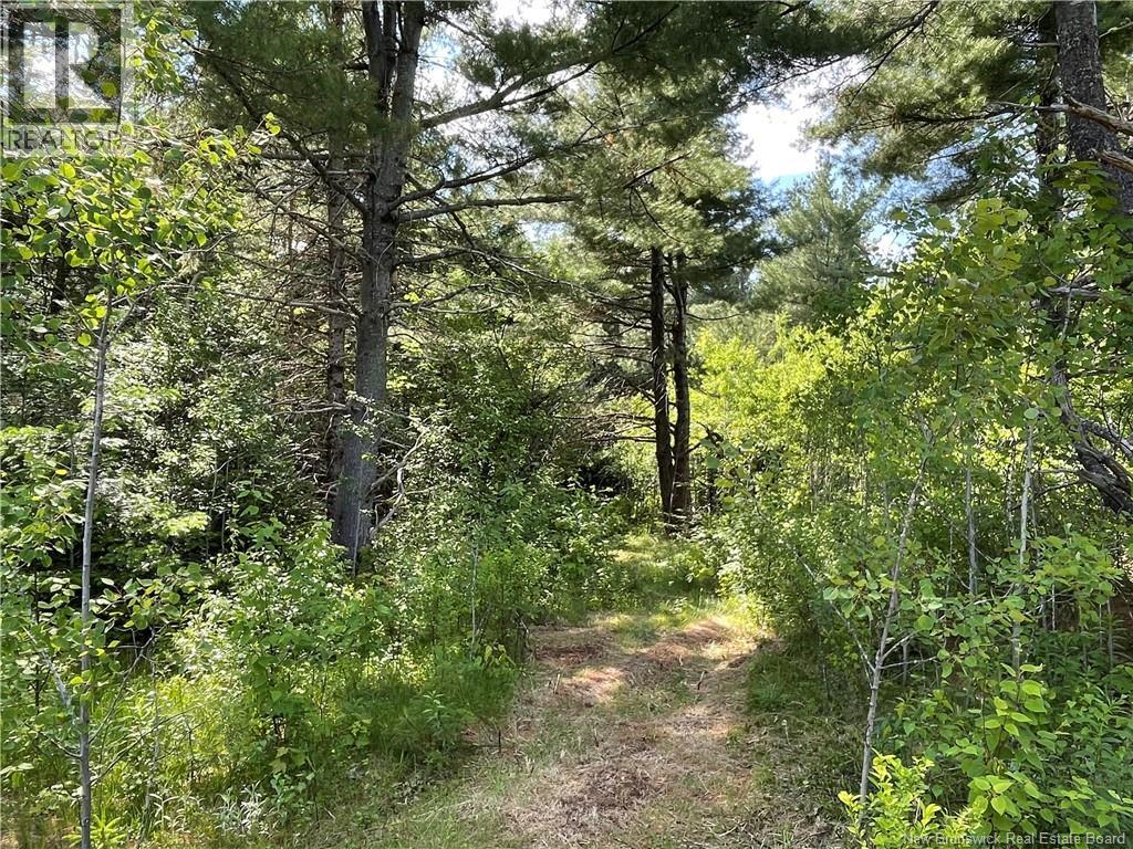 9386 11 Route, Saint Margarets, New Brunswick  E1N 5C5 - Photo 3 - NB125492