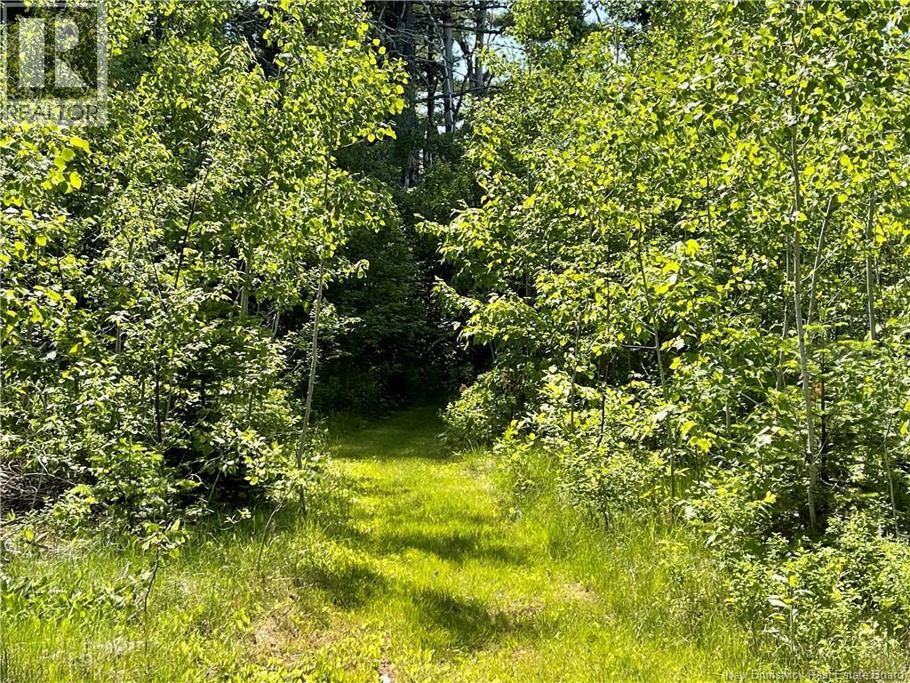 9386 11 Route, Saint Margarets, New Brunswick  E1N 5C5 - Photo 5 - NB125492