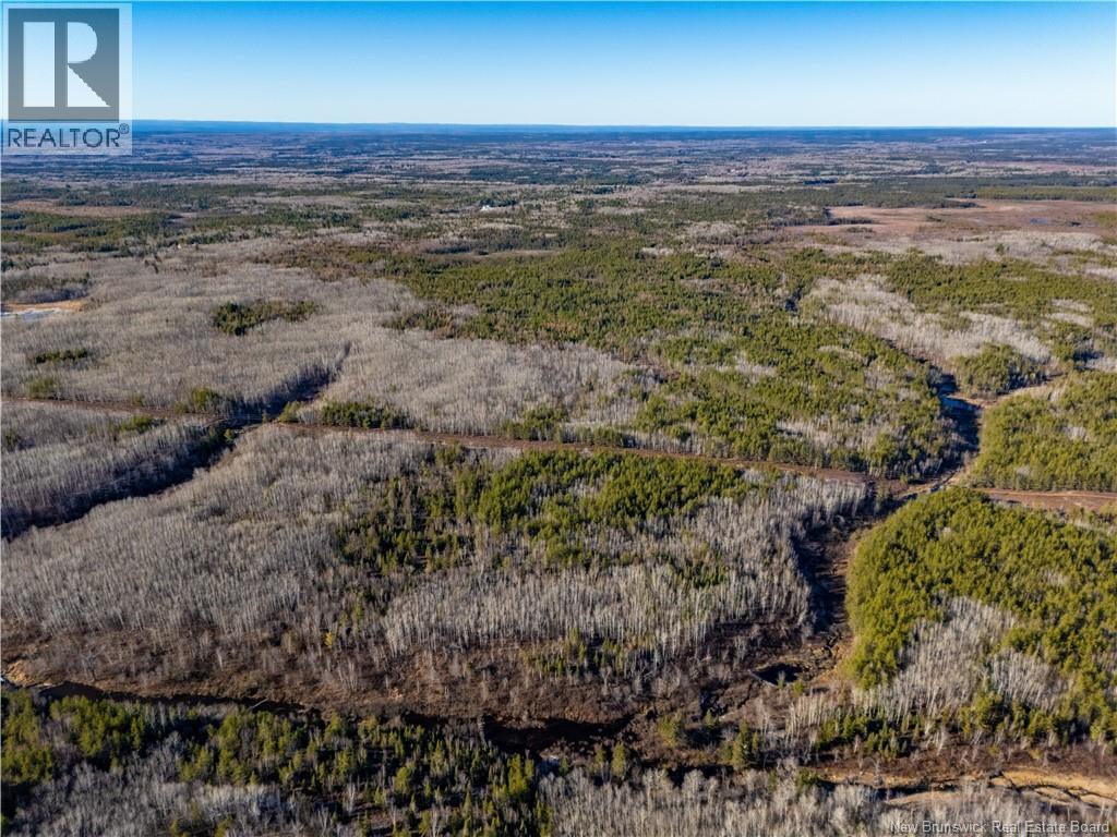 100 Acres Mckinnon Road, Miramichi, New Brunswick  E1V 5Y1 - Photo 4 - NB125507