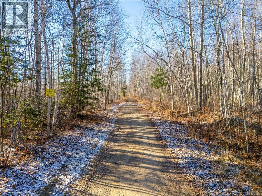 100 Acres Mckinnon Road, Miramichi, New Brunswick  E1V 5Y1 - Photo 5 - NB125507
