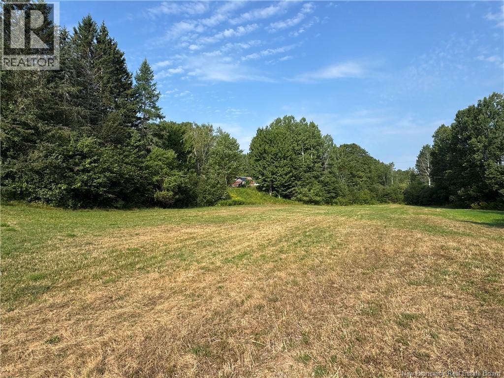 19 A. Prosser Road, Parkindale, New Brunswick  E4Z 6L8 - Photo 20 - NB125061