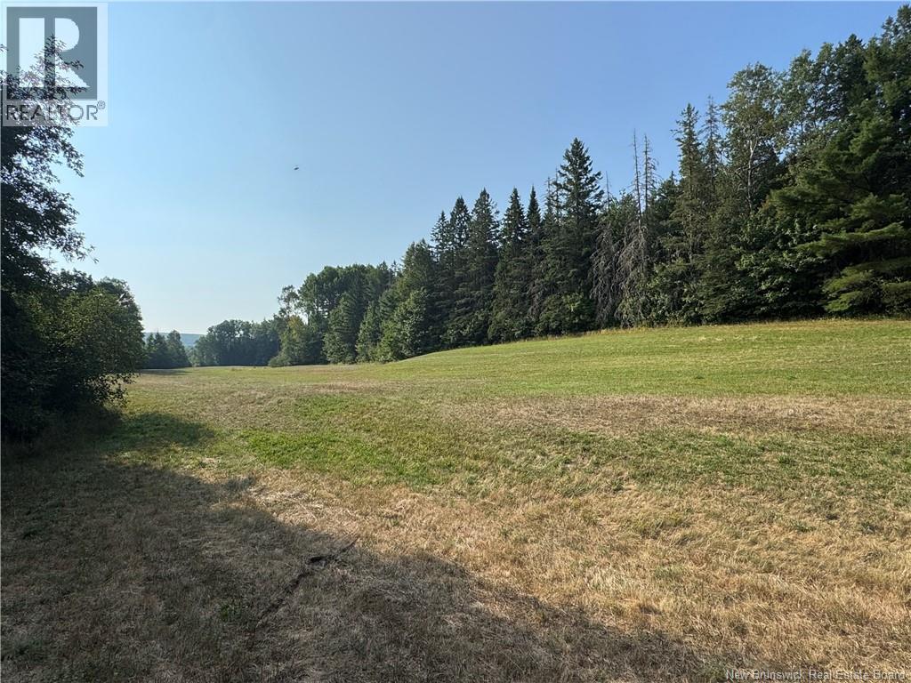 19 A. Prosser Road, Parkindale, New Brunswick  E4Z 6L8 - Photo 21 - NB125061