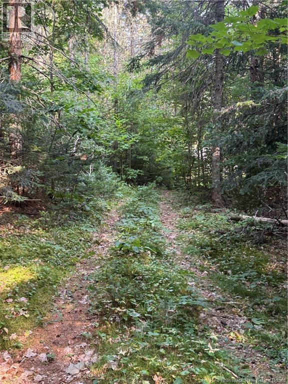 19 A. Prosser Road, Parkindale, New Brunswick  E4Z 6L8 - Photo 8 - NB125061