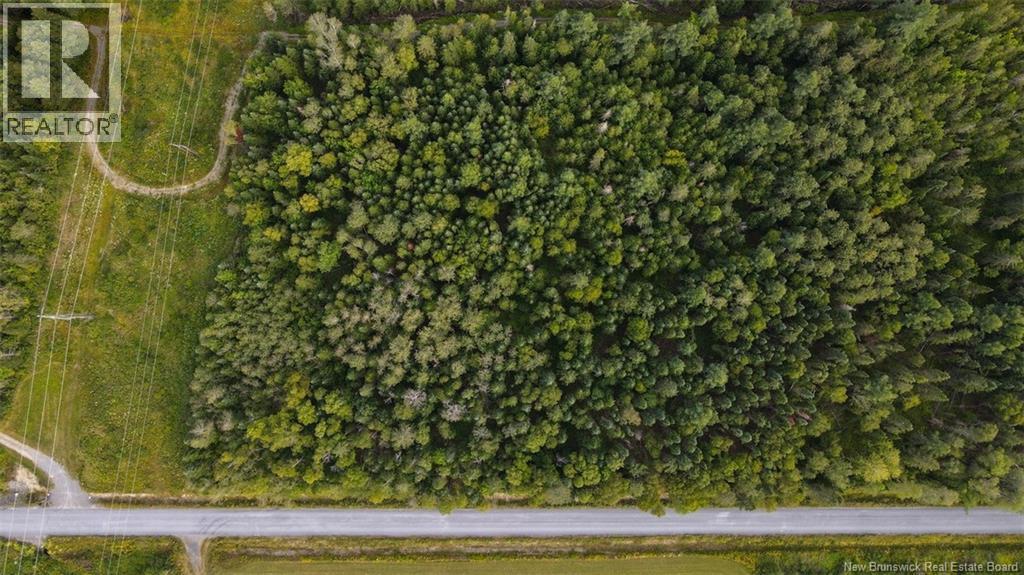 Lot Doucet Road, Rivière-Verte, New Brunswick  E7B 1T7 - Photo 1 - NB125484