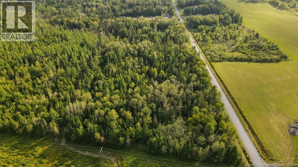 Lot Doucet Road, Rivière-Verte, New Brunswick  E7B 1T7 - Photo 8 - NB125484