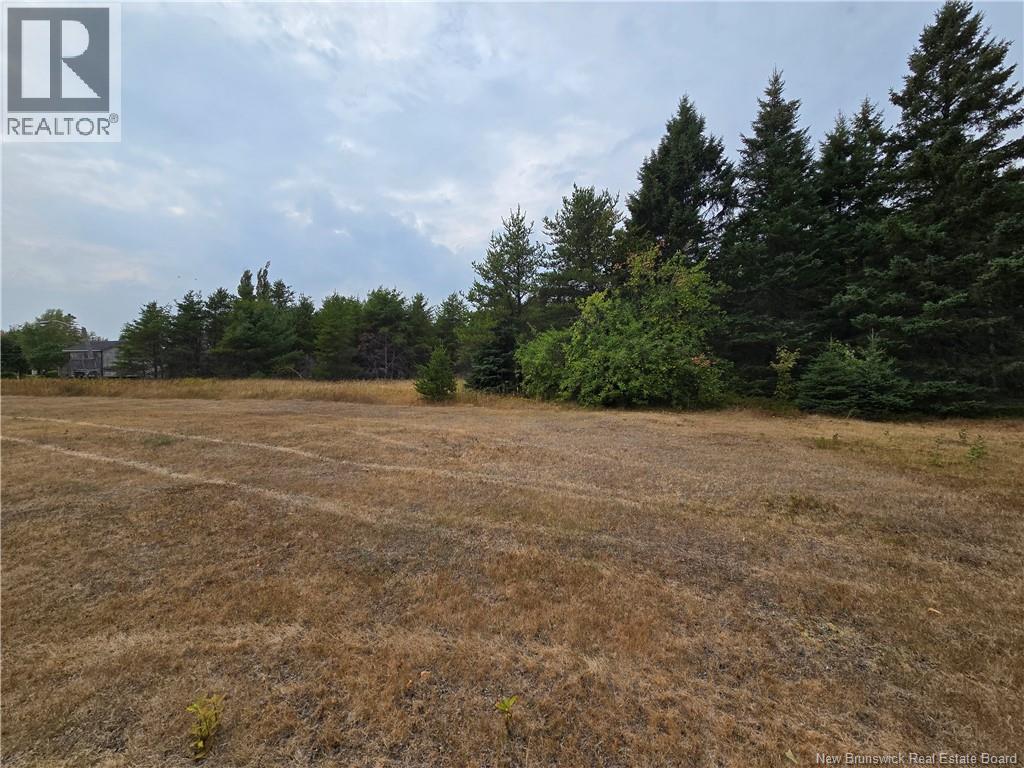 1.7 Acres Route 370, Haut-Sheila, New Brunswick  E1X 1B1 - Photo 5 - NB125508
