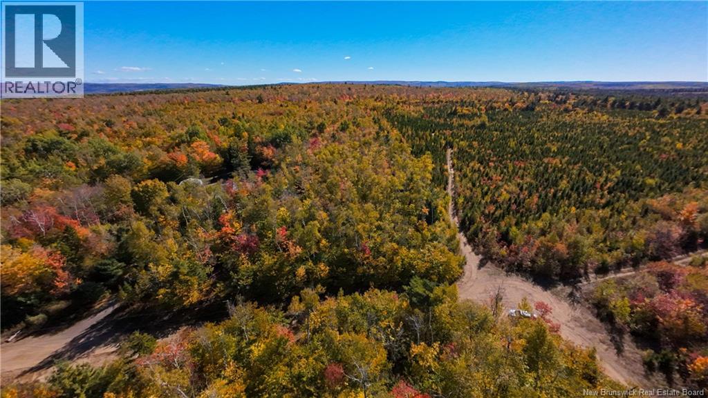 Na Green Road, Elgin, New Brunswick  E4Z 1L7 - Photo 6 - NB125566