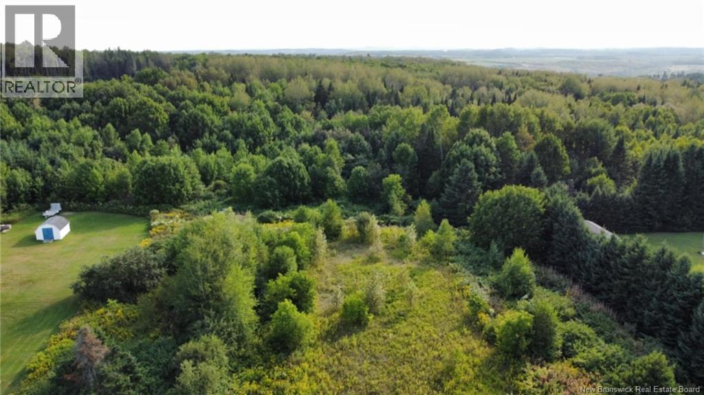 Lot Route 190, Carlingford, New Brunswick  E7H 2B7 - Photo 1 - NB125540