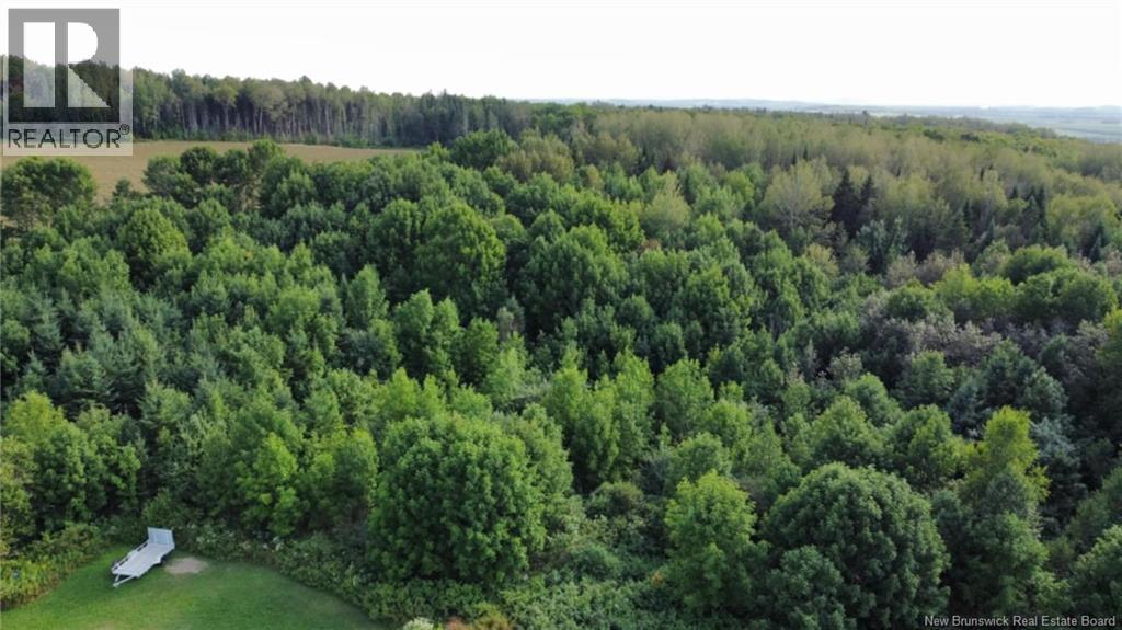 Lot Route 190, Carlingford, New Brunswick  E7H 2B7 - Photo 3 - NB125540