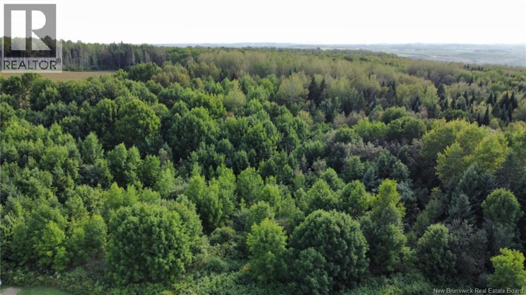 Lot Route 190, Carlingford, New Brunswick  E7H 2B7 - Photo 4 - NB125540
