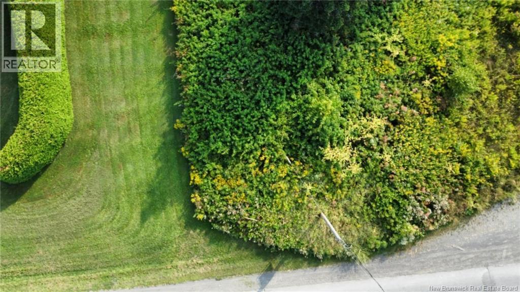 Lot Route 190, Carlingford, New Brunswick  E7H 2B7 - Photo 5 - NB125540