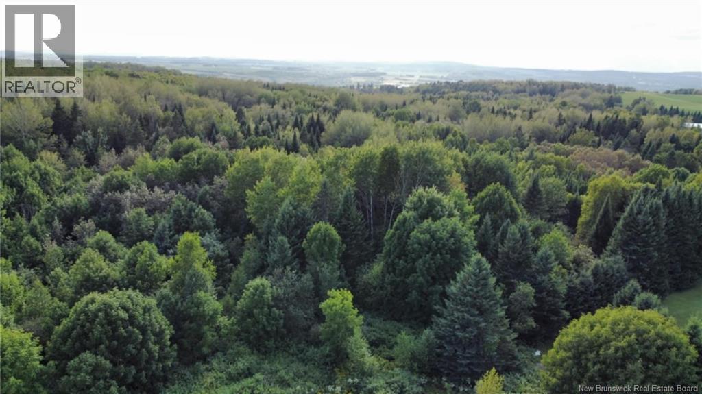 Lot Route 190, Carlingford, New Brunswick  E7H 2B7 - Photo 7 - NB125540