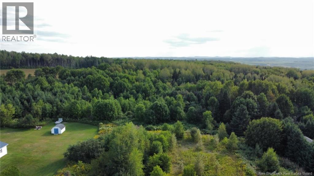 Lot Route 190, Carlingford, New Brunswick  E7H 2B7 - Photo 8 - NB125540
