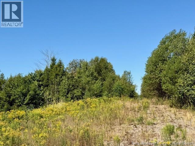 1191  137 Route 785, Utopia, New Brunswick  E5C 2L3 - Photo 3 - NB125443