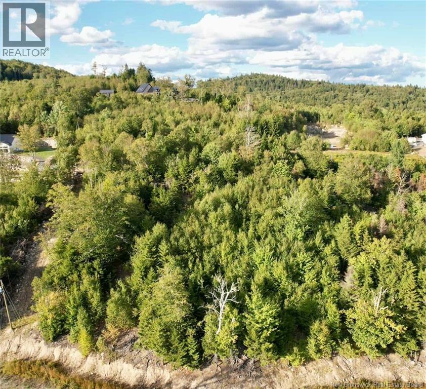 1191  137 Route 785, Utopia, New Brunswick  E5C 2L3 - Photo 9 - NB125443