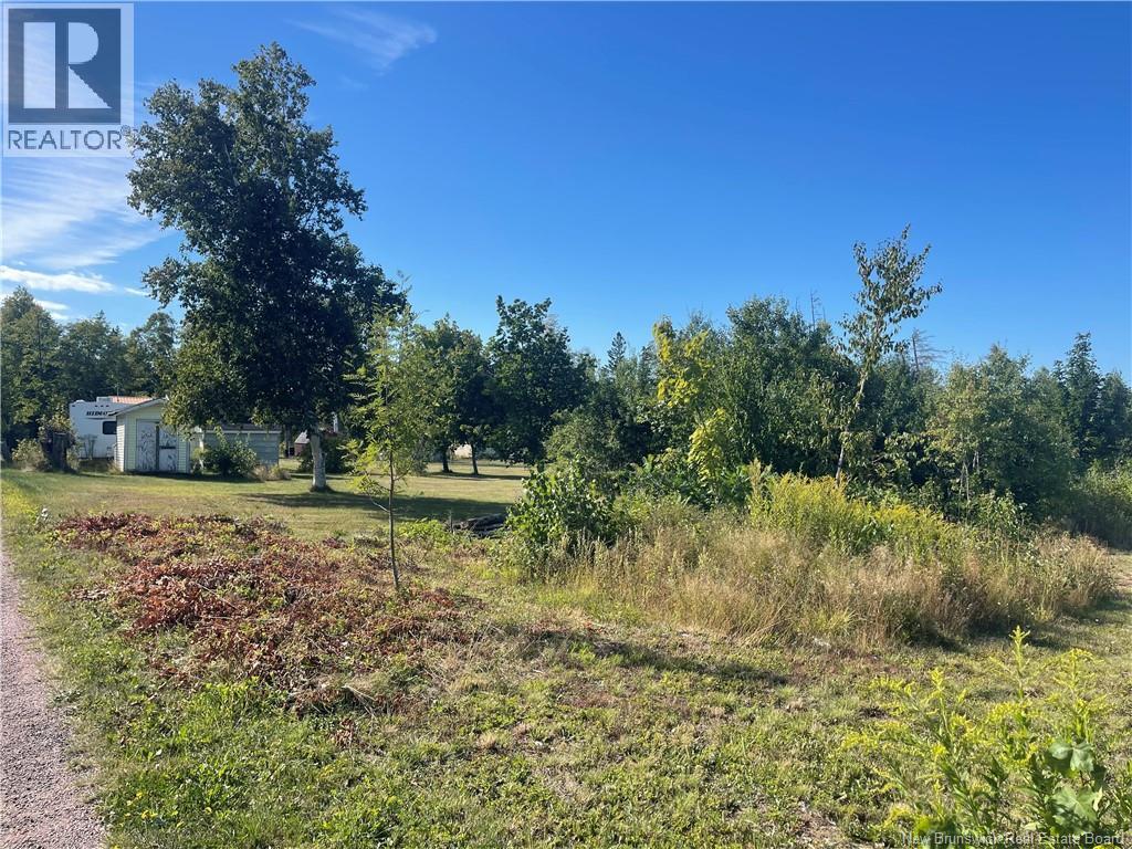 Lot Fred Roy Road, Grand-Barachois, New Brunswick  E4P 6T8 - Photo 18 - NB125591