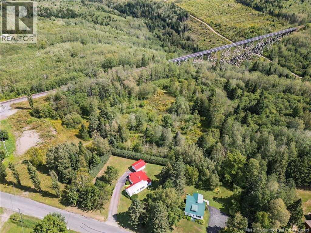 40 Foley Brook Road, New Denmark, New Brunswick  E7G 1P5 - Photo 8 - NB125543