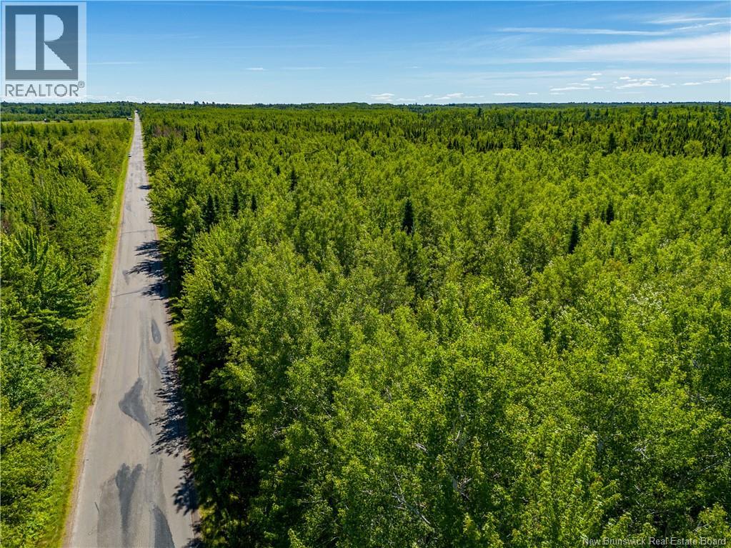 Lot 25-5 California Road, Rexton, New Brunswick  E4W 2J5 - Photo 10 - NB125526
