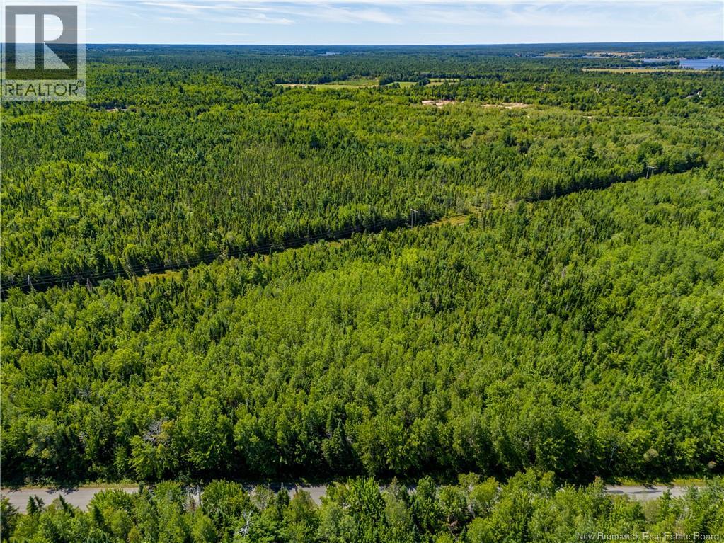 Lot 25-5 California Road, Rexton, New Brunswick  E4W 2J5 - Photo 12 - NB125526